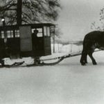 Školský „zimný“ autobus v americkom štáte Maine poháňali kone, napriek tomu bol jedným vozidlom, ktoré dokázalo vo vražedných mrazoch v roku 1930 premávať