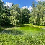 Rádioaktívne jazierko vo Zvolene: v lete pôsobí ako oáza pokoja a v zime nezamŕza
