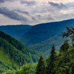 Hrdzavá dolina je jedným z najzachovalejších a najvzácnejších lokalít slovenskej prírody