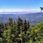 Pralesy Slovenska: v našom kraji pribudli nové chránené rezervácie. V oblasti Poľany ich môžete navštíviť aj vy