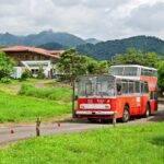 Anderthalbdecker: fascinujúca história „poschodových“ autobusov s netradičným dizajnom