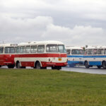 Autobusový deň PID 2026 na Letnej objektívom Roberta Kubicu